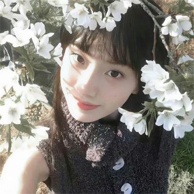 楷模