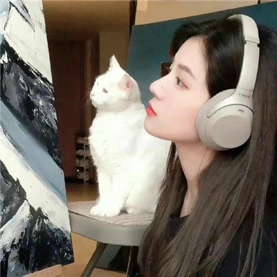 正经好人